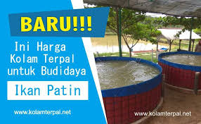 Harga Kolam Terpal Berkualitas Tinggi Untuk Budidaya Ikan Patin Di Kolamterpal Net Cukup Bervariasi Tergantung Ukurannya Anda Kolam Kota Bogor Pencemaran Air