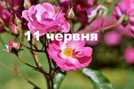 У франківську покажуть музичну виставу 11 Chervnya Yake Sogodni Svyato Imenini Ta Chogo Ne Slid Robiti 11 06 2020 Vsim Ua