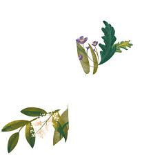 Obituary for Sharon Kay Mickelson