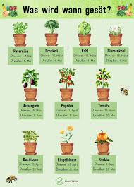 Aussaatkalender Wann Wird Was Ausgesat Plantura In 2020 Garten Anpflanzen Gemusegarten Tipps Gemuse Anpflanzen