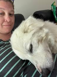 Who can recommend a last minute pet and house sitter in Linden?