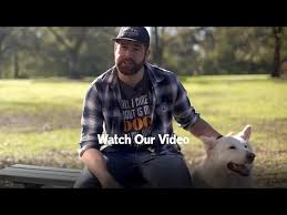 Age, size, weight, breed, special requirements, and so on. International Pet Transport To Canada Jetpets Au Pet Travel Consultants