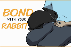 Do they enjoy lying on it in the. 15 Ways To Bond With Your Pet Rabbit