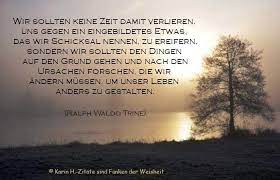 Plötzlich ist da eine völlig andere, eine völlig neue realität. Zitate Weisheiten Herz Und Liebe