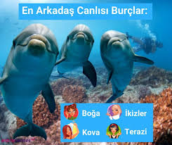 Gulay Balantekin Adli Kullanicinin Burcun Ne Panosundaki Pin Burclar Ikizler Boga