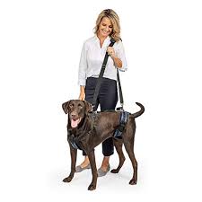 Le pettorine per cani sono un ottimo accessorio alternativo ai più classici collari. 47 La Migliore Sostegno Posteriore In 2020 Secondo Gli Esperti