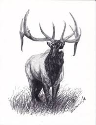 A bull elk or stag deer with huge antlers is standing in a side view pose in a wildlife illustration. Elk Bull Elk Limited Edition Print Black By Sherimareanartist 9 99 Elk Tattoo Elk Drawing Bull Elk