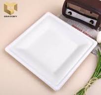 10 inch compostable disposable square bagasse plate samples