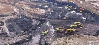 Bearish strategi entry bullish shark pattern berhasil order pending. Pemegang Saham Bumi Resources Masuk Harga Dwi Guna Dwgl Langsung Meroket