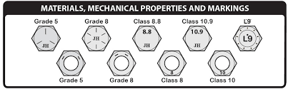 Nut Grades Chart 2019