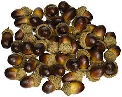 Monochrome style is welcome in 2021. Goodlucky365 50pcs Fake Acorns Artificial Acorns Lifelike Simulation Small Acorns For Home House Kitchen D Small Acorns Christmas Decorations Artificial Plants