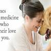 Some of the characteristic symptoms of end stage liver disease in dogs include the following: 1