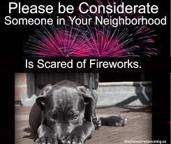 Pin On Pet Groomers In Burlington