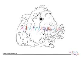 4.4 out of 5 stars 41. Guinea Pig Colouring Page 2