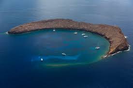 Top 10 Beginning Scuba Sites In Hawaii Hawaii Aloha Travel