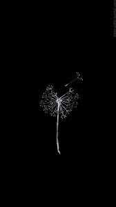 Best Wallpaper Phone Tumblr Grunge Backgrounds Phone Wallpapers Ideas Dark Background Wallpaper Black Wallpaper Iphone Dark Wallpaper