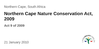 Image result for Siphonochilus parvus