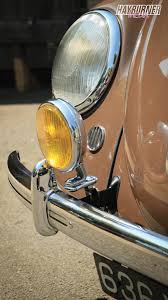 Image result for Medium Brown 1950 Beetle