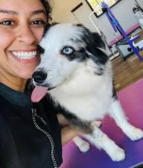 A Furry Affair Pet Salon