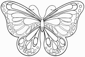 Ausmalbilder Schmetterling Und Raupe 1ausmalbildercom