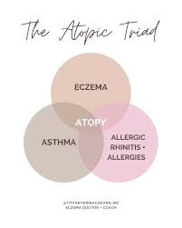 Image result for Allergic Triad