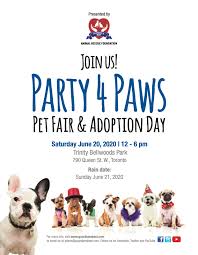 See hundreds of dogs, puppies, cats, kittens and more animals available for adoption. Party 4 Paws Pet Fair Adoption Day View The Vibe Toronto