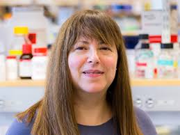 Raleigh McElvery, Author at MIT Department of Biology