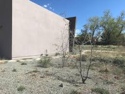 Staying at this lavender farm is a wonderfully peaceful experience. It S Gardening Time In Santa Fe Home Real Estate Santafenewmexican Com