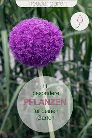 Wenn sie schon immer einmal eine pflanze kultivieren wollten die nicht jeder im garten hat, dann sind sie hier genau richtig. 11 Aussergewohnliche Pflanzen Fur Den Garten Winterharte Pflanzen Garten Pflanzen Japanische Pflanzen