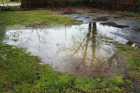 Standing water often holds mosquito larvae and other undesirable pests, so it's important to correct any yard drainage issues as soon as you notice them. How To Get Rid Of Standing Water In Yard Home Matters Ahs