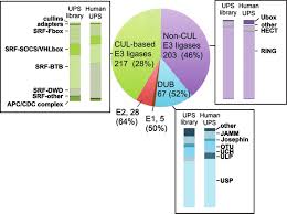 Pie Chart Representation Of The Ups Library For Each