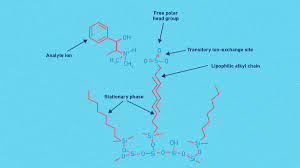 Stability Indicating Ion-Pair Reversed-Phase Liquid Chromatography Method  For Modified Mrna | Analytical Chemistry | Chemrxiv | Cambridge Open Engage