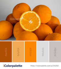 Color Palette Ideas From Produce Fruit Valencia Orange Image Orange Color Palettes Color Palette Yellow Black Color Palette