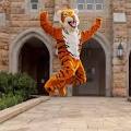 University of the south