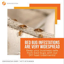 Don'T Let The Bedbugs Bite ... | Health & Wellbeing | The Guardian