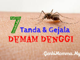 Sebenarnya, demam merupakan mekanisme alami kekebalan sebagai tanda bahwa tubuh sedang memberikan perlawanan terhadap infeksi pathogen. Simptom Demam Denggi Genkimomma My