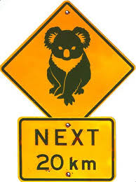 Animals Koala Crossing Sign From Australia Crossing Sign Koala Australia