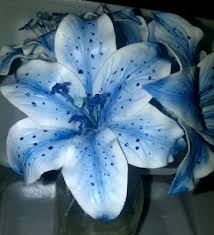 The Art Of Sugar Floristry September 2012 Unusual Flowers Beautiful Flowers Amazing Flowers