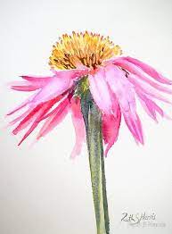 Ruth S Harris Watercolor Beautiful Would Make A Good Tattoo Image Description From Pinterest Com I Searched F Flower Painting Flower Art Art Painting