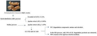 Image result for Pentadiplandra brazzeana