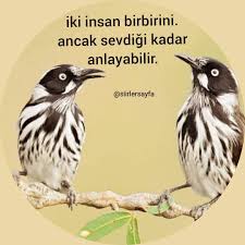 Hayirli Aksamlar Siirlersayfa Siirlersayfa Siirlersayfa Siirlersayfa Siirlersayfa Siirlersayfa Instagram