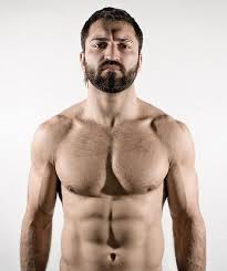 Former ufc heavyweight champion and currently ranked #4 in the ufc heavyweight division. Pin By Stef Nicole On Zombie Run Motivation Andrei Arlovski Mma Fighters Epic Beard