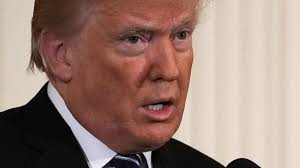 President Trump Comments