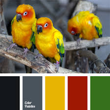 Maybe you would like to learn more about one of these? Colors Of Tropical Bird Color Palette Ideas