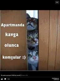 Kommsulara Bakkk Komik Goruntuler Komik Seyler Komik