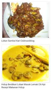 Resepi 1 kilo ayam lemak cili padi amie | 450 g (1lb) isi ayam, potong dadu. Pemborong Lokan Ketam Nipah Fresh Photos Facebook