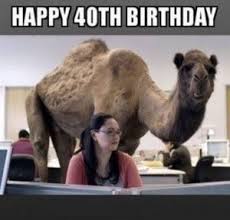 And they'll whine and moan about it. Birthday Quotes 40th Birthday Meme