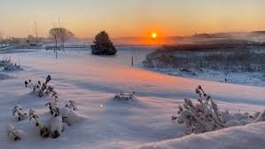 With its good schools, healthy populous and abundance of recreation and leisure. Holiday Guide Minnesota Christmas Winter And Holiday Events Kare11 Com