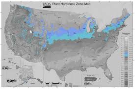 usda gardening zone 5 lovetoknow