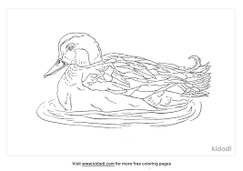 Mar 25, 2013 · click the wood ducks coloring pages to view printable version or color it online (compatible with ipad and android tablets). Marbled Duck Coloring Pages Free Animals Coloring Pages Kidadl